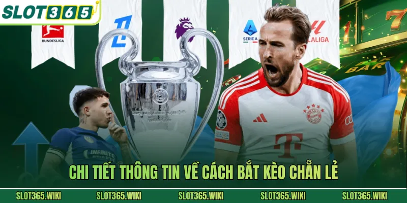 Chi tiết thông tin về cách bắt kèo chẵn lẻ